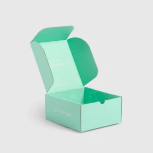 roll-end-tuck-top-boxes-2024-02-19-204825