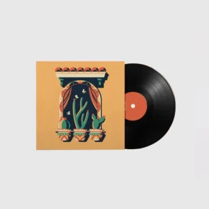 vinyl-record-mailers-2024-09-04-211417