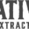 logo8